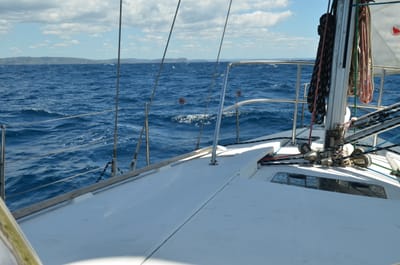 DSC_1159.JPG