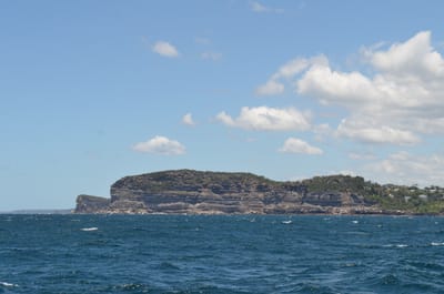 DSC_1161.JPG