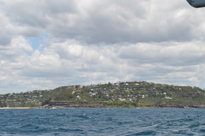 DSC_1162.JPG