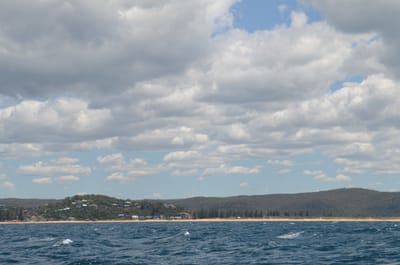 DSC_1163.JPG