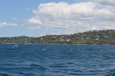 DSC_1164.JPG