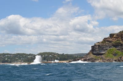 DSC_1165.JPG