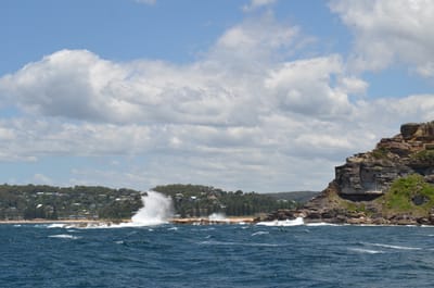 DSC_1166.JPG