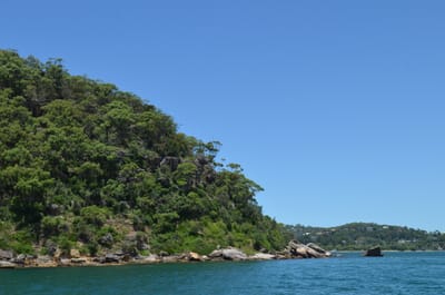 DSC_1170.JPG