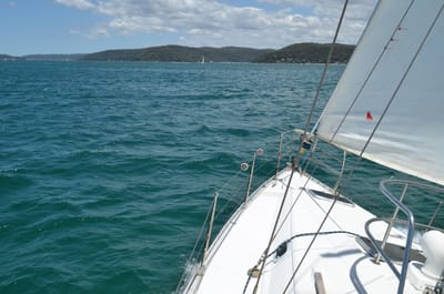 DSC_1172.JPG