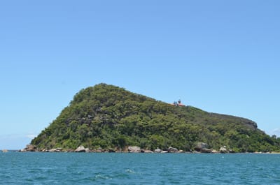 DSC_1173.JPG