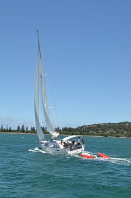 DSC_1175.JPG