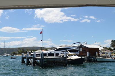 DSC_1184.JPG