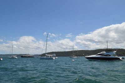 DSC_1185.JPG