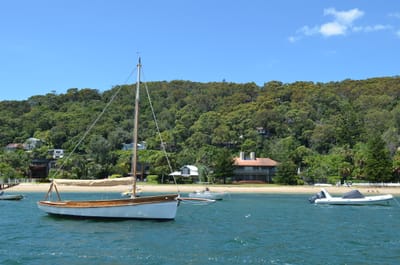 DSC_1186.JPG