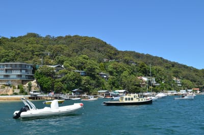 DSC_1187.JPG