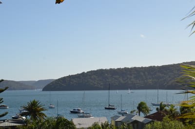 DSC_1201.JPG
