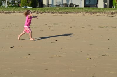 DSC_1236.JPG