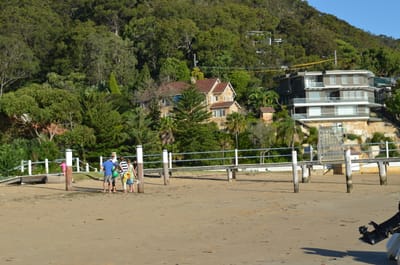 DSC_1245.JPG
