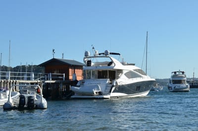 DSC_1246.JPG