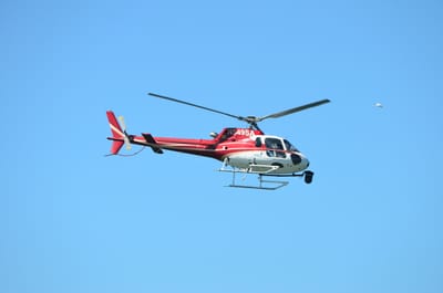 DSC_9810.JPG