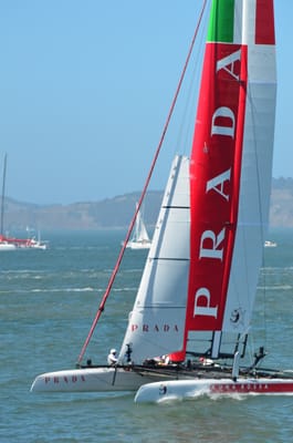 DSC_9879.JPG