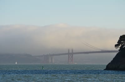 DSC_9668.JPG