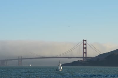 DSC_9671.JPG