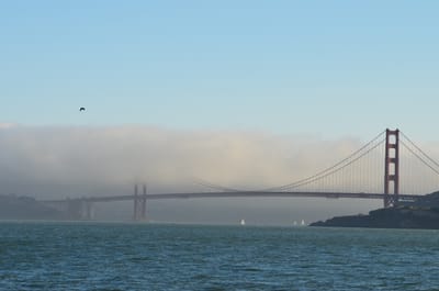 DSC_9672.JPG