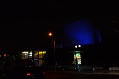 DSC_0315.JPG