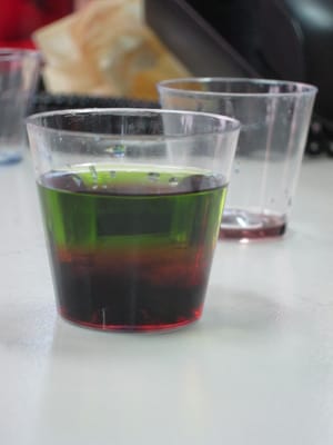 IMG_9297.JPG