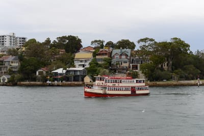 DSC_2329.jpg