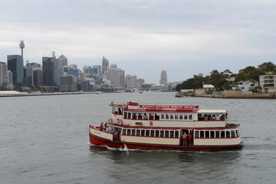 DSC_2330.jpg