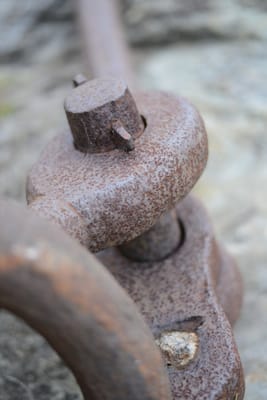 DSC_2346.jpg