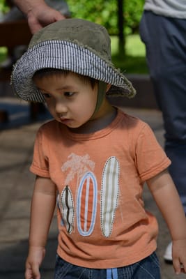DSC_1713.JPG
