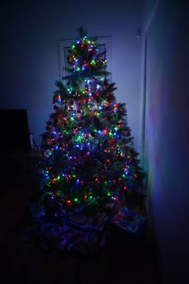 DSC_2769.JPG