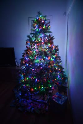 DSC_2770.JPG