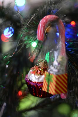 DSC_2810.JPG