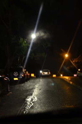 DSC_1503.JPG