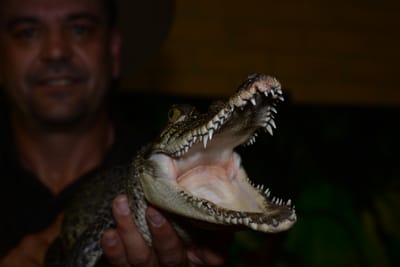 DSC_2637.jpg