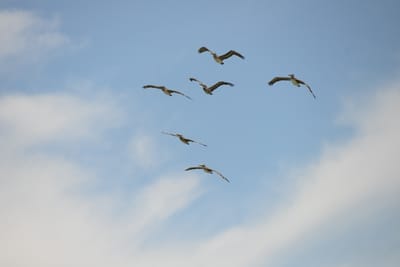 DSC_0672.JPG
