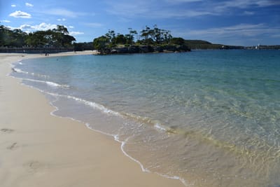 DSC_0689.JPG