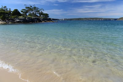 DSC_0690.JPG