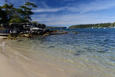 DSC_0691.JPG