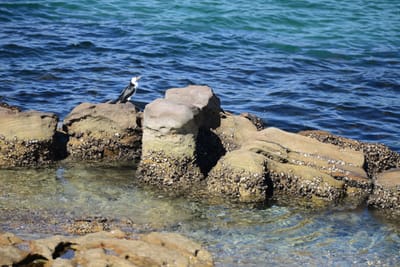 DSC_0696.JPG