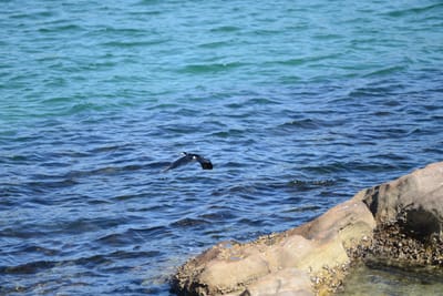 DSC_0698.JPG