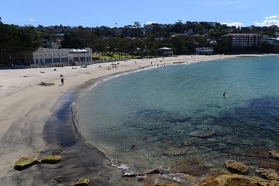DSC_0702.JPG