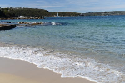 DSC_0706.JPG