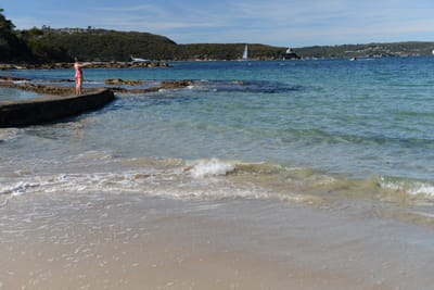 DSC_0707.JPG
