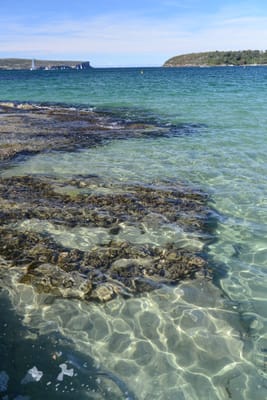 DSC_0710.JPG