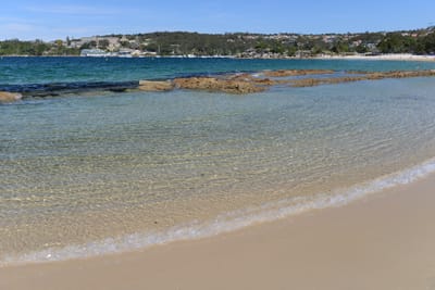 DSC_0713.JPG
