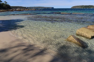 DSC_0714.JPG