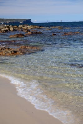DSC_0716.JPG