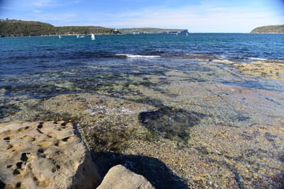 DSC_0720.JPG