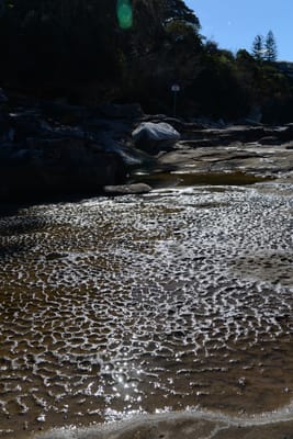 DSC_0726.JPG
